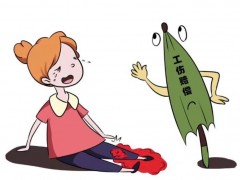 【一点享法】参加公司组织的团建活动外出时受伤，算工伤吗？